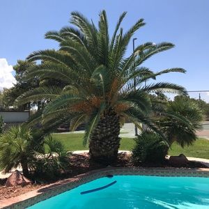 Meet your Posher, Ashton